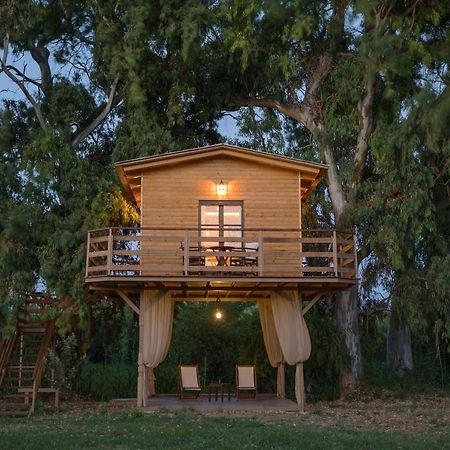 River Treehouse Laganas Exterior foto