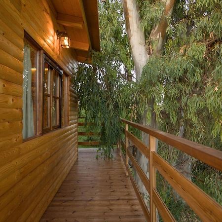 River Treehouse Laganas Exterior foto